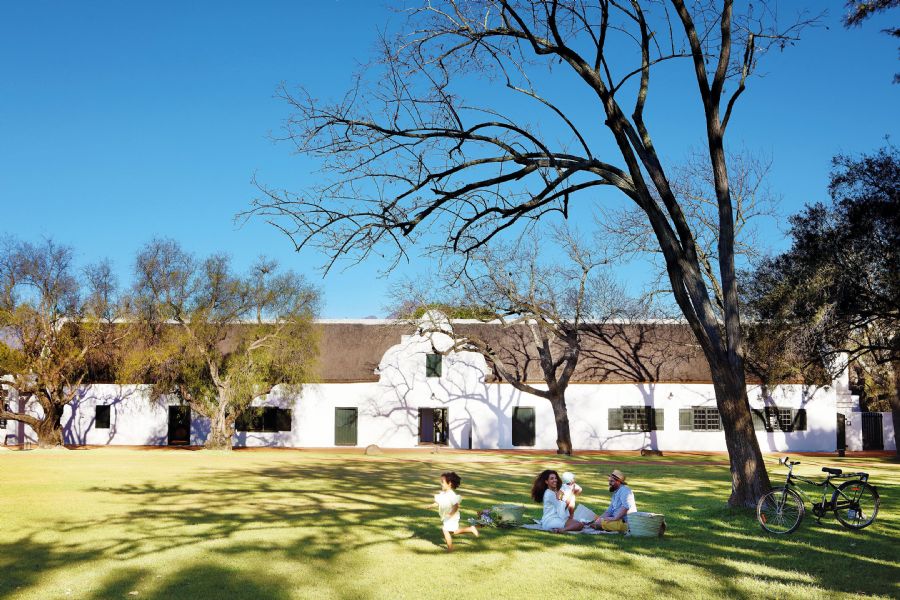 The Spier Wine em Stellenbosh - uma das melhores vinícolas para visitar na África do Sul!